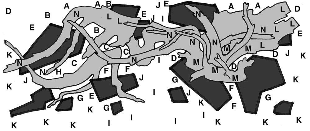 Bepflanzungsplan Layout 96 mit Buchstaben der Pflanzen
