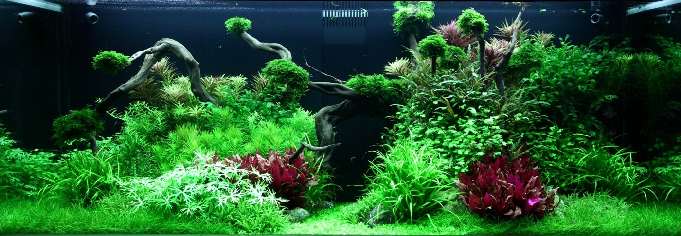 Layout 96, Aquarienlayout