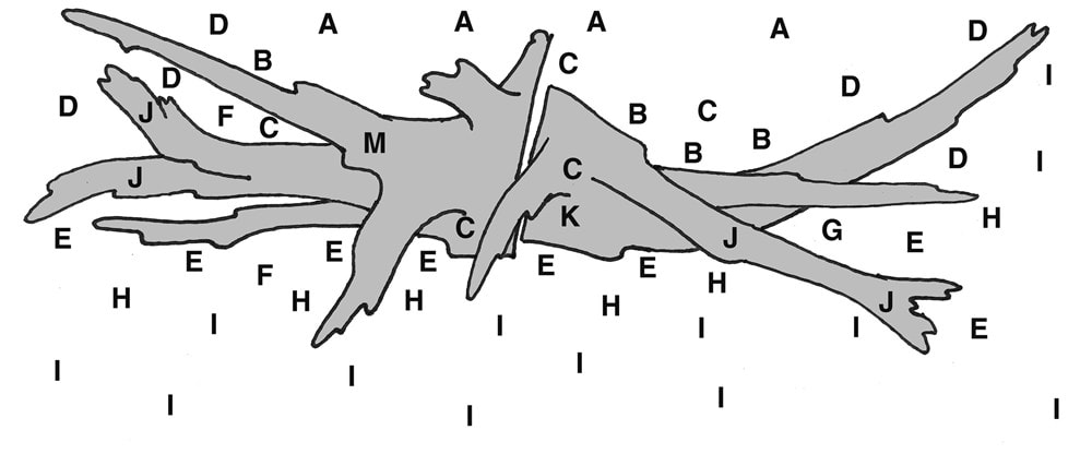 Bepflanzungsplan Layout 97 mit Buchstaben der Pflanzen