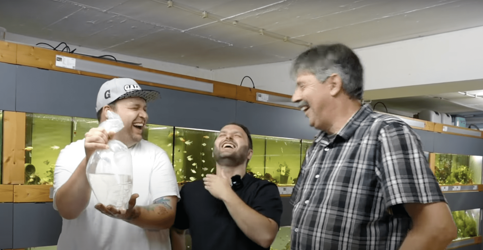 Tobis Aquaristikexzesse Video Tipp: Zu Besuch bei Pfisterer Aqua Tec