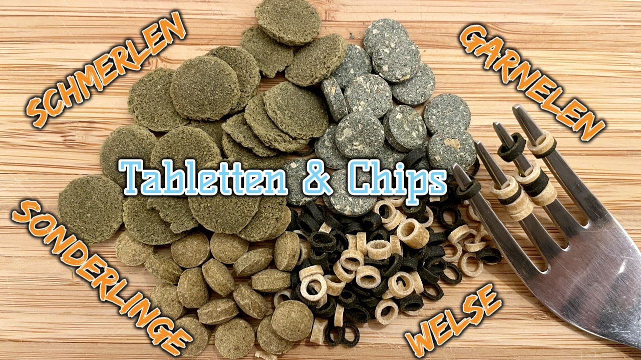 AQUaddicted! – Video Tipp: Futter für Welse und Schmerlen