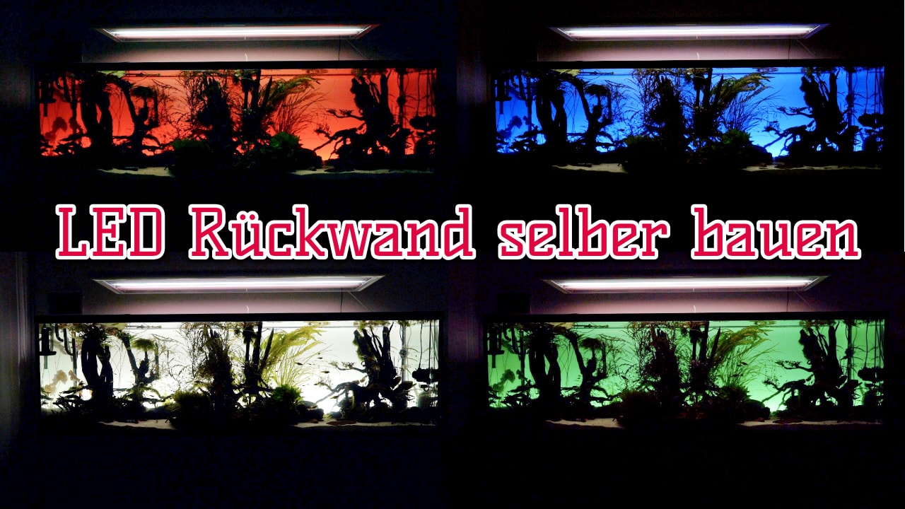 AQUaddicted! – Video Tipp: LED Rückwand für das Aquarium