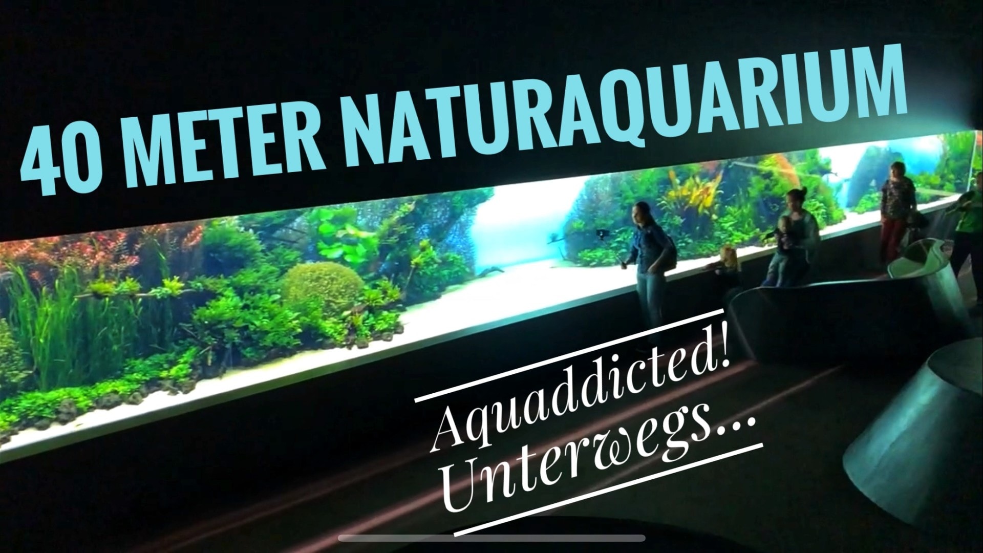 AQUaddicted! – Video Tipp: Reise zum größten Naturaquarium der Welt