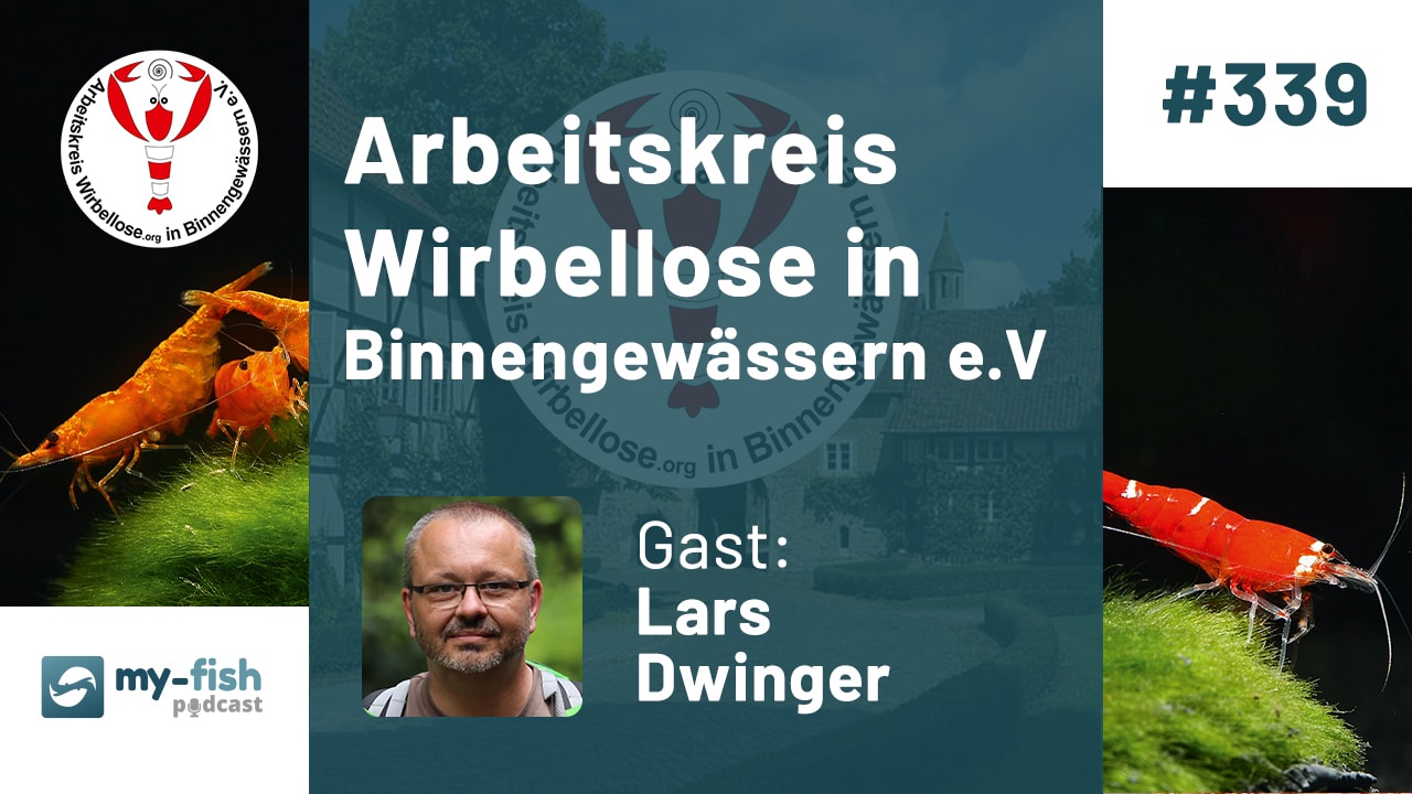 Arbeitskreis Wirbellose in Binnengewässern e.V. (Lars Dwinger)