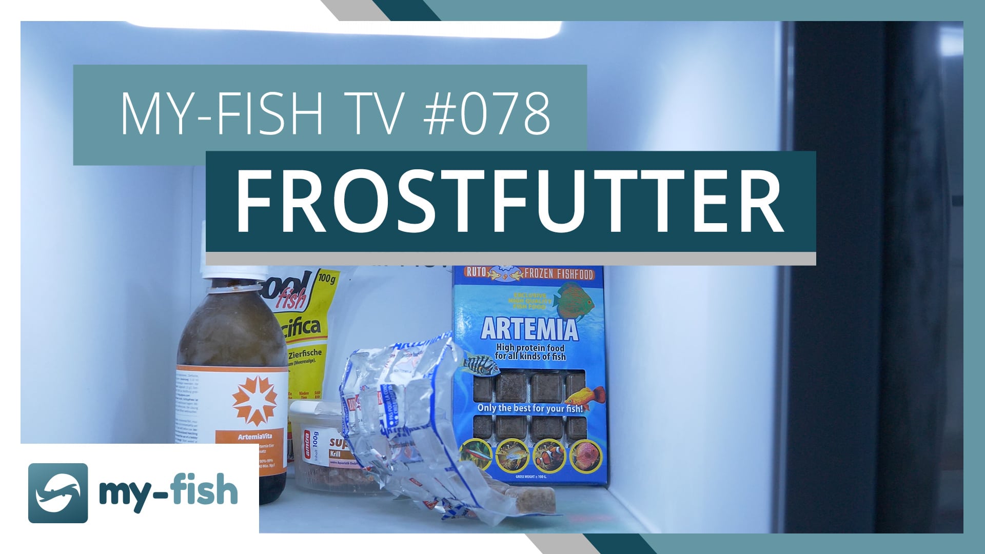 my-fish TV: Frostfutter richtig vorbereiten & verfüttern
