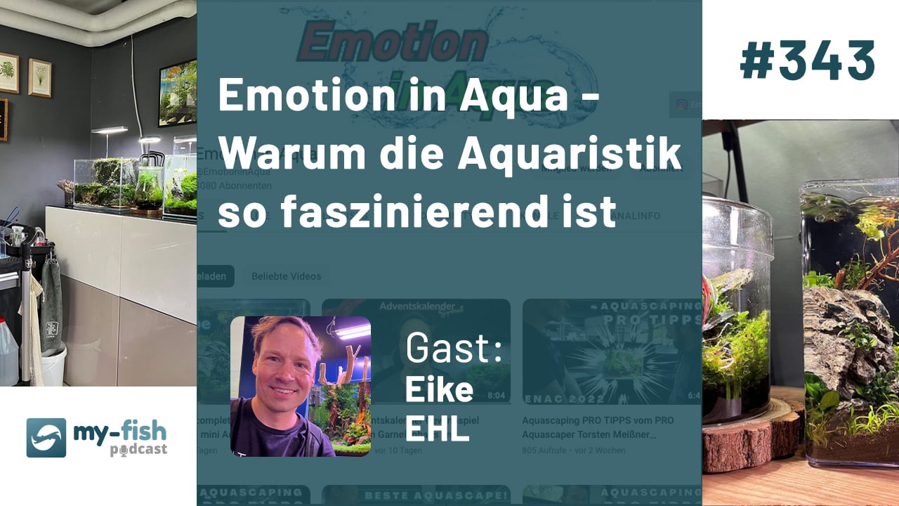 343: Emotion in Aqua - Warum die Aquaristik so faszinierend ist (Eike EHL)