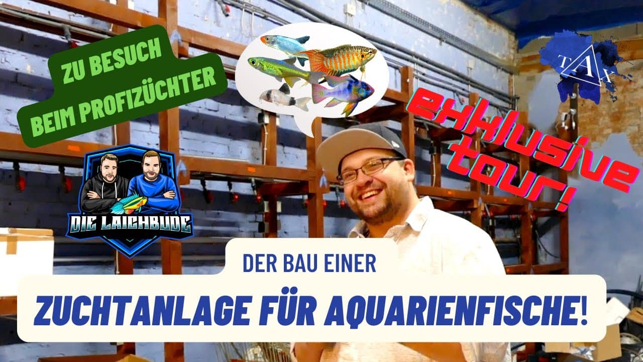 Tobis Aquaristikexzesse Video Tipp: Fischexperte zeigt Details seiner neuen Fischzuchtanlage – Profizüchter erklärt