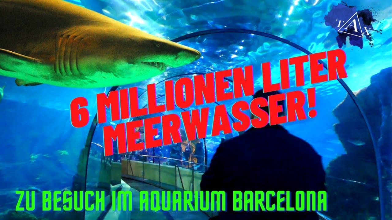 Tobis Aquaristikexzesse Video Tipp: 6 Millionen Liter Meerwasser im Aquarium Barcelona