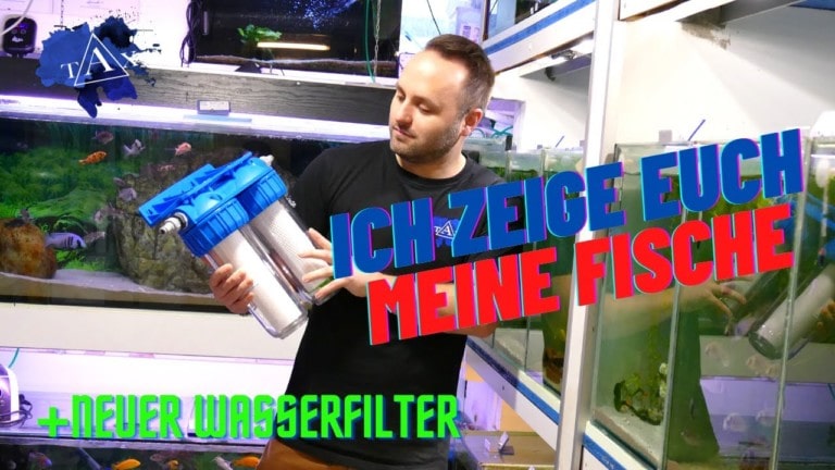 Tobis Aquaristikexzesse Video Tipp: Ich zeige euch meine FISCHE und neuer TRINKWASSERFILTER
