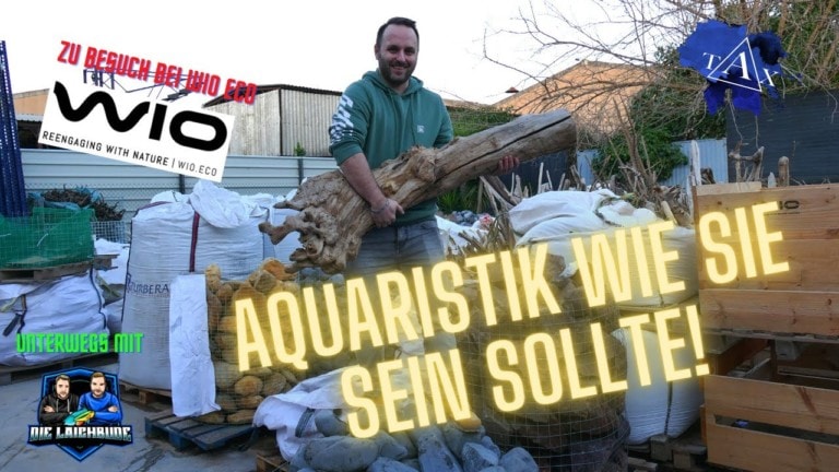 Tobis Aquaristikexzesse Video Tipp: AQUARISTIK WIE SIE SEIN SOLLTE! - Zu Besuch bei WIO ECO