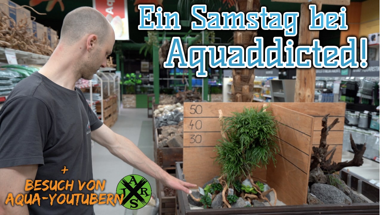 AQUaddicted! – Video Tipp: Alltag bei AQUAddicted