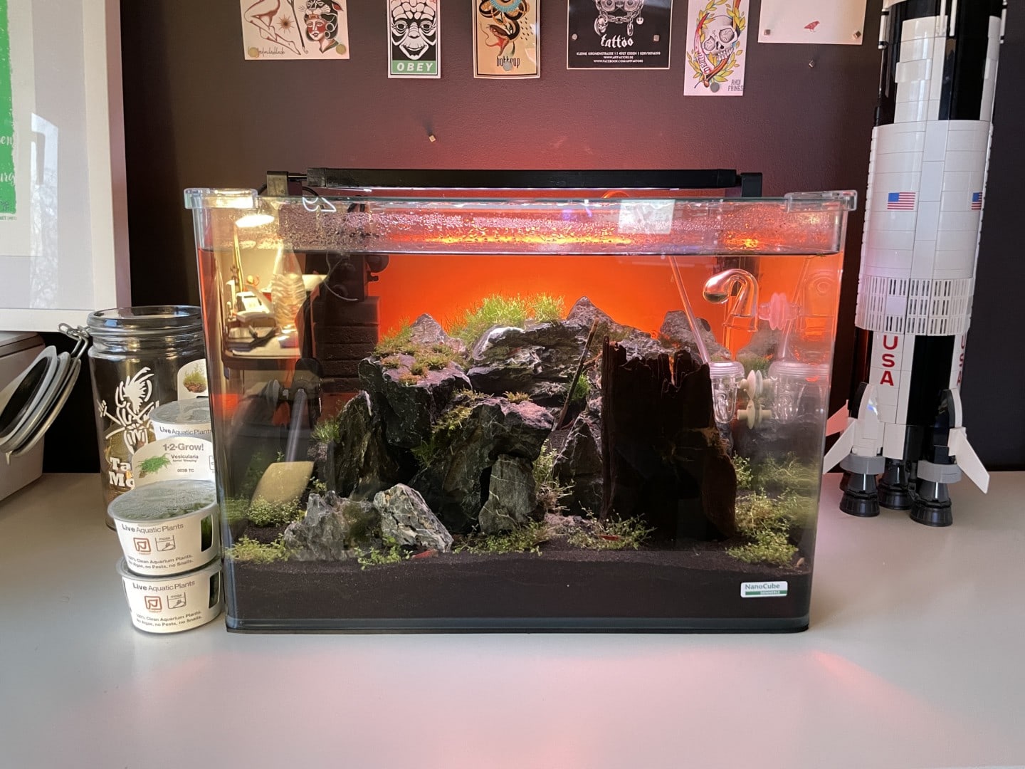Nano-Aquarium – Der Trend 2023
