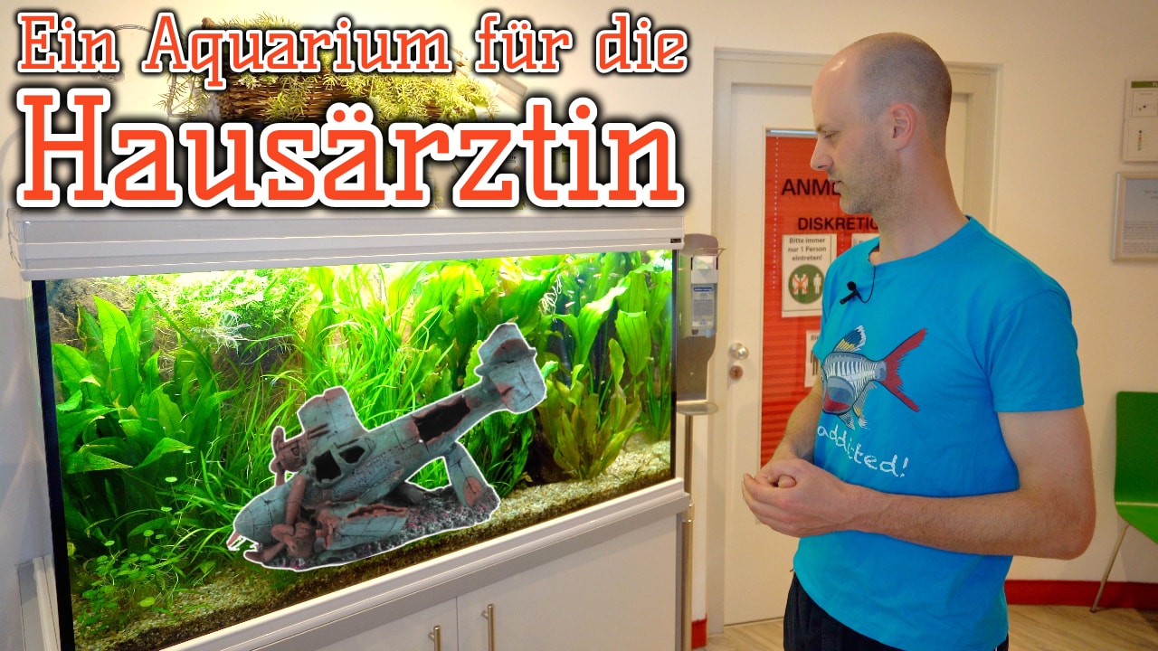AQUaddicted! - Video Tipp: Ein Aquarium für die Arztpraxis