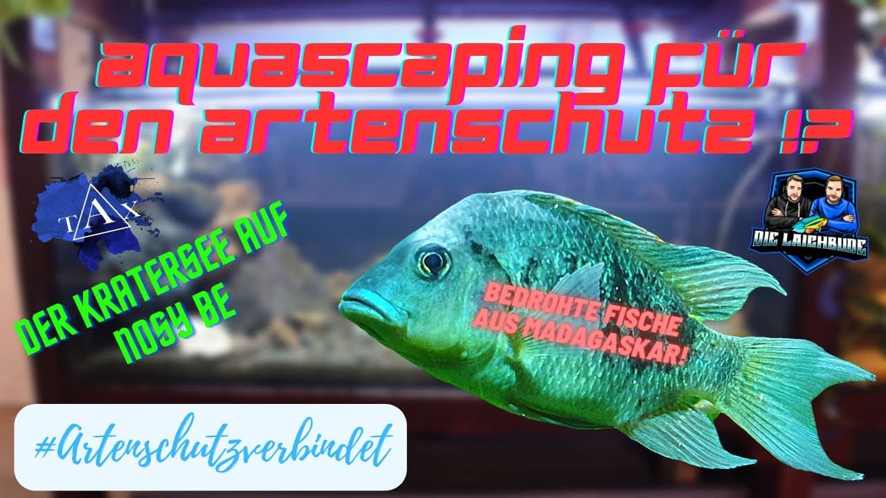Tobis Aquaristikexzesse Video Tipp: AQUASCAPING FÜR DEN ARTENSCHUTZ  - Der Kratersee von Nosy Be