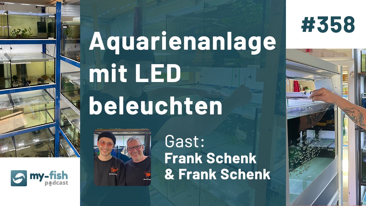 Aquarienanlage mit LED beleuchten - Grundlagen und Hintergrundwissen (Frank Schenk)