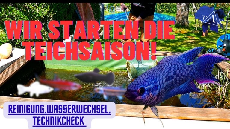 Tobis Aquaristikexzesse Video Tipp: Wir starten die TEICHSAISON!