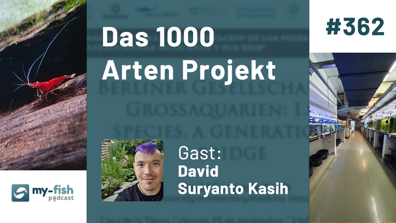 362: Das 1000 Arten Projekt - Fischfabrik zum Arterhalt (David Suryanto Kasih)