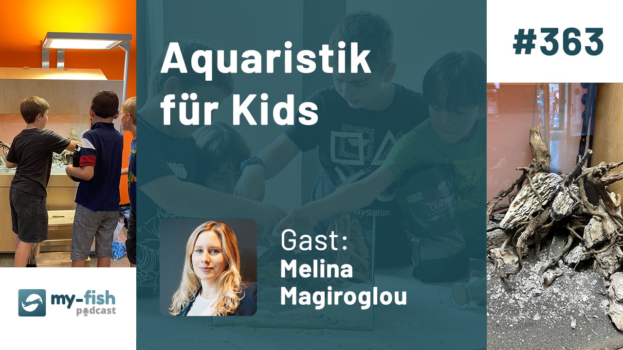 Aquaristik für Kids - Schau mal was da blubbert (Melina Magiroglou)