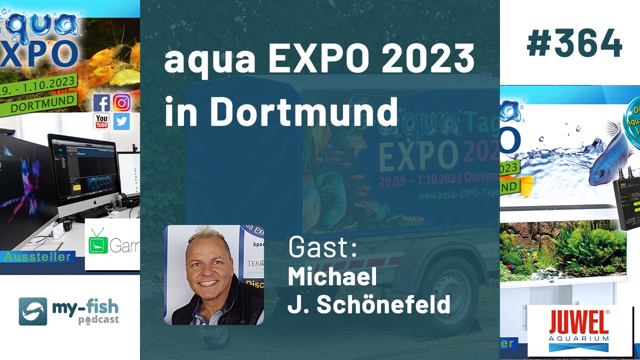 aqua EXPO 2023 in Dortmund (Michael J. Schönefeld)
