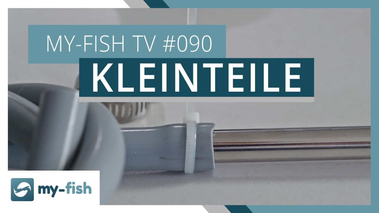 my-fish TV Episode 090
