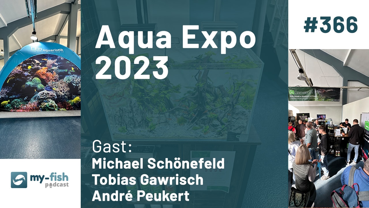 Aqua Expo 2023 - Das waren die Highlights der Messe in Dortmund