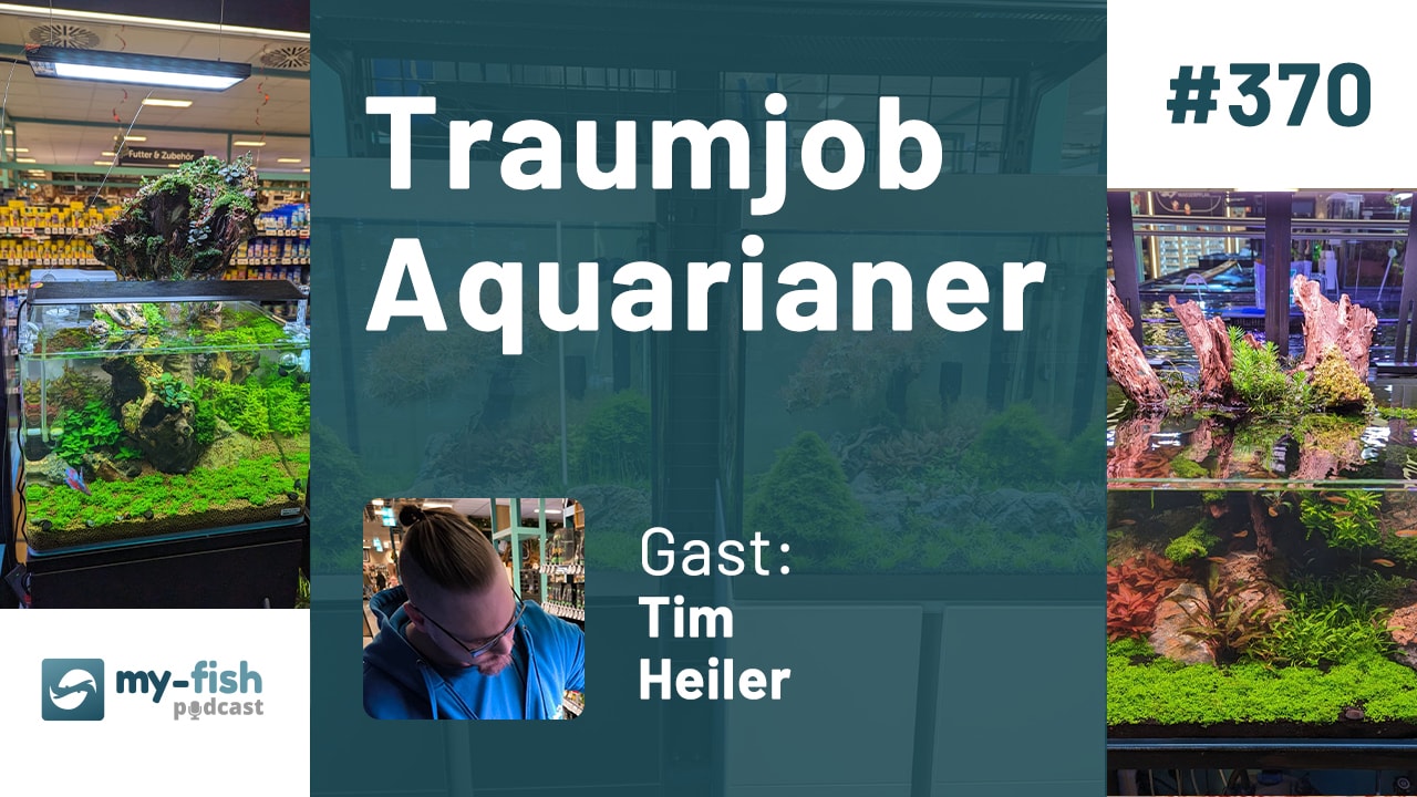 370: Traumjob Aquarianer - ZooRoyal Mitarbeiter im Hobby und Beruf (Tim Heiler)