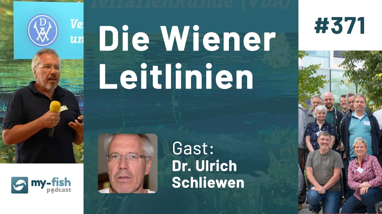 371: Die Wiener Leitlinien - Eine Grundlagen für Erhaltungszuchtprojekten (Dr. Ulrich Schliewen)