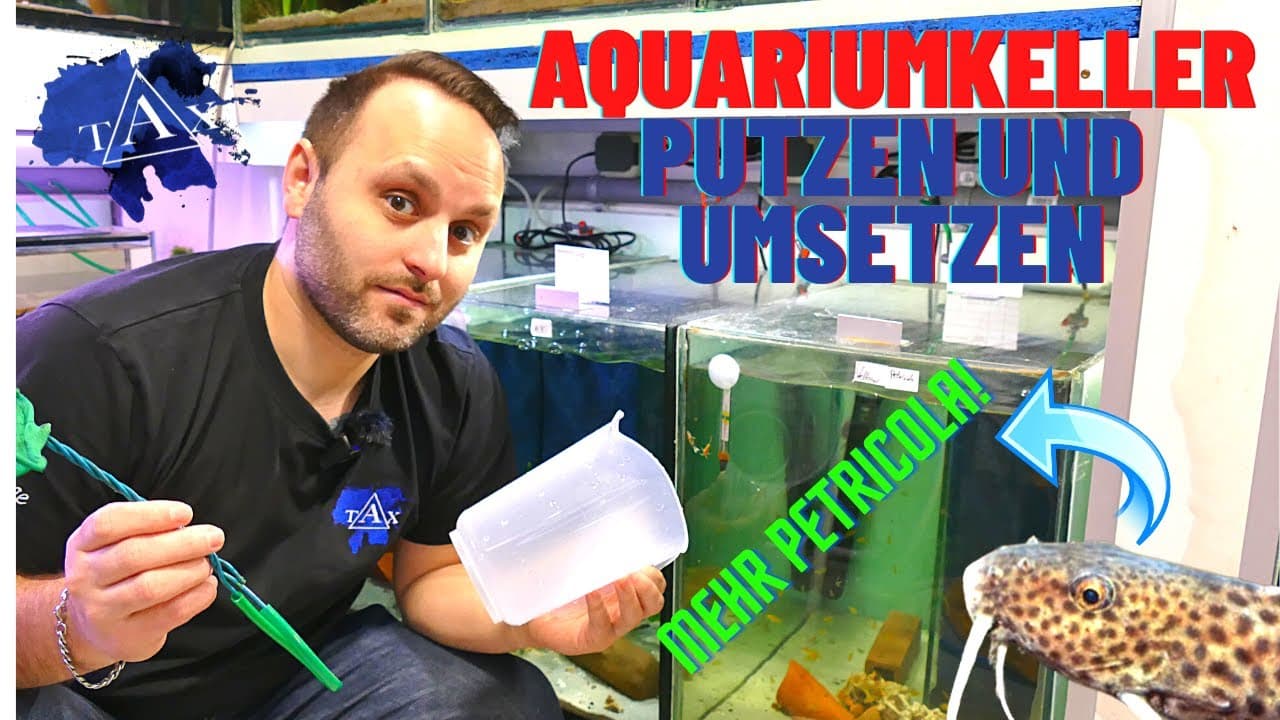 Tobis Aquaristikexzesse Video Tipp: Aquariumkeller putzen und umsetzen