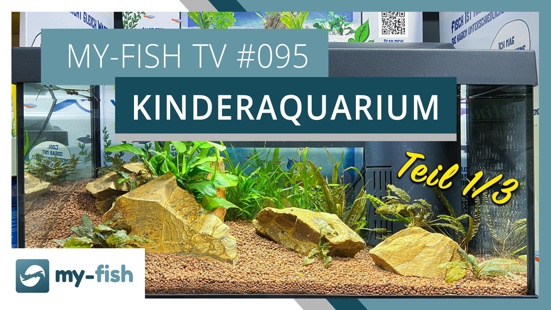 my-fish TV #095: Das Kinderaquarium Teil 1 – Die Gestaltung