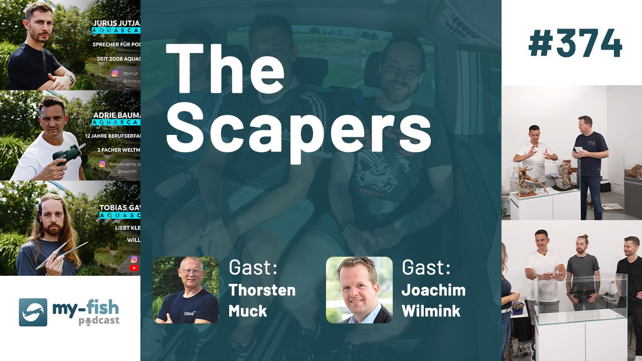 The Scapers (Muck & Wilmink)