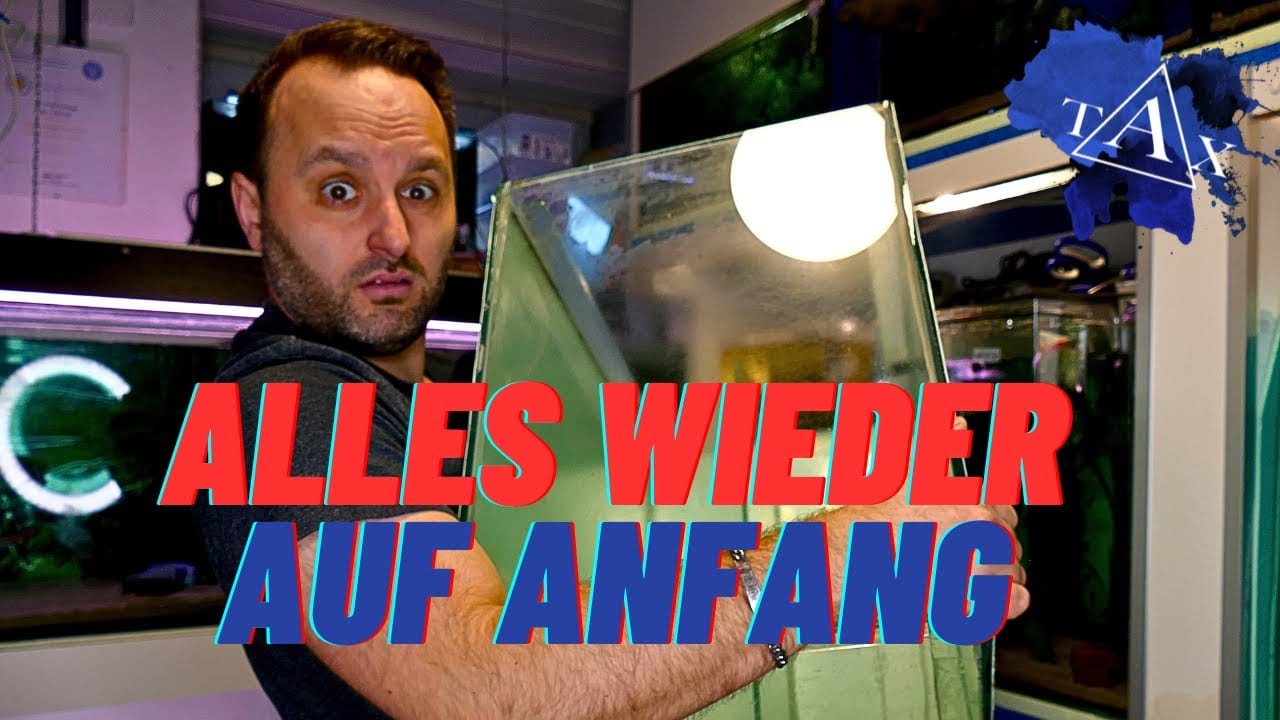 Tobis Aquaristikexzesse Video Tipp: Alles wieder auf ANFANG !
