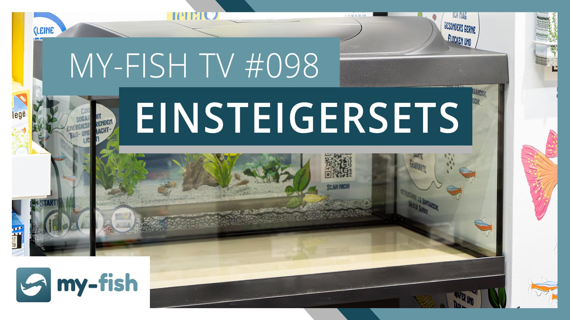 my-fish TV #098: Worauf achten bei Einsteigersets