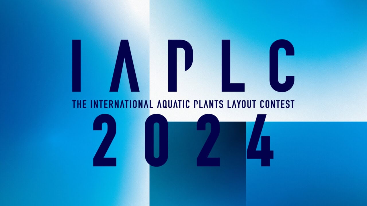 Die 100 besten Natur-Aquarien 2024: IAPLC