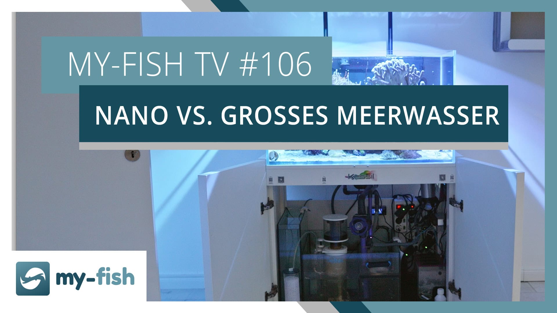Unterschiede von Nano zu großen Meerwasser Aquarien | my-fish TV #106
