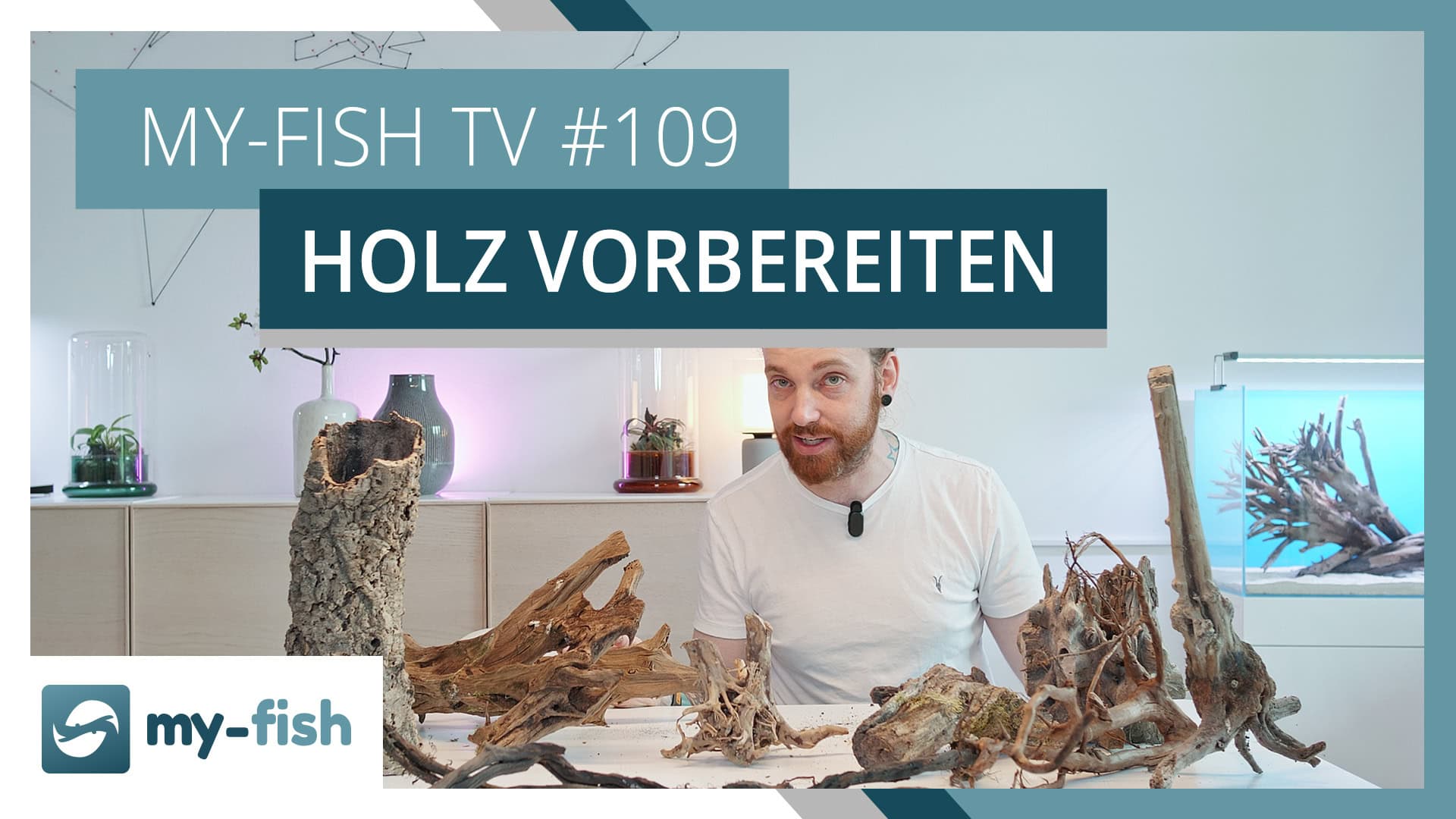 my-fish TV #109: Holz für das Aquarium richtig vorbereiten