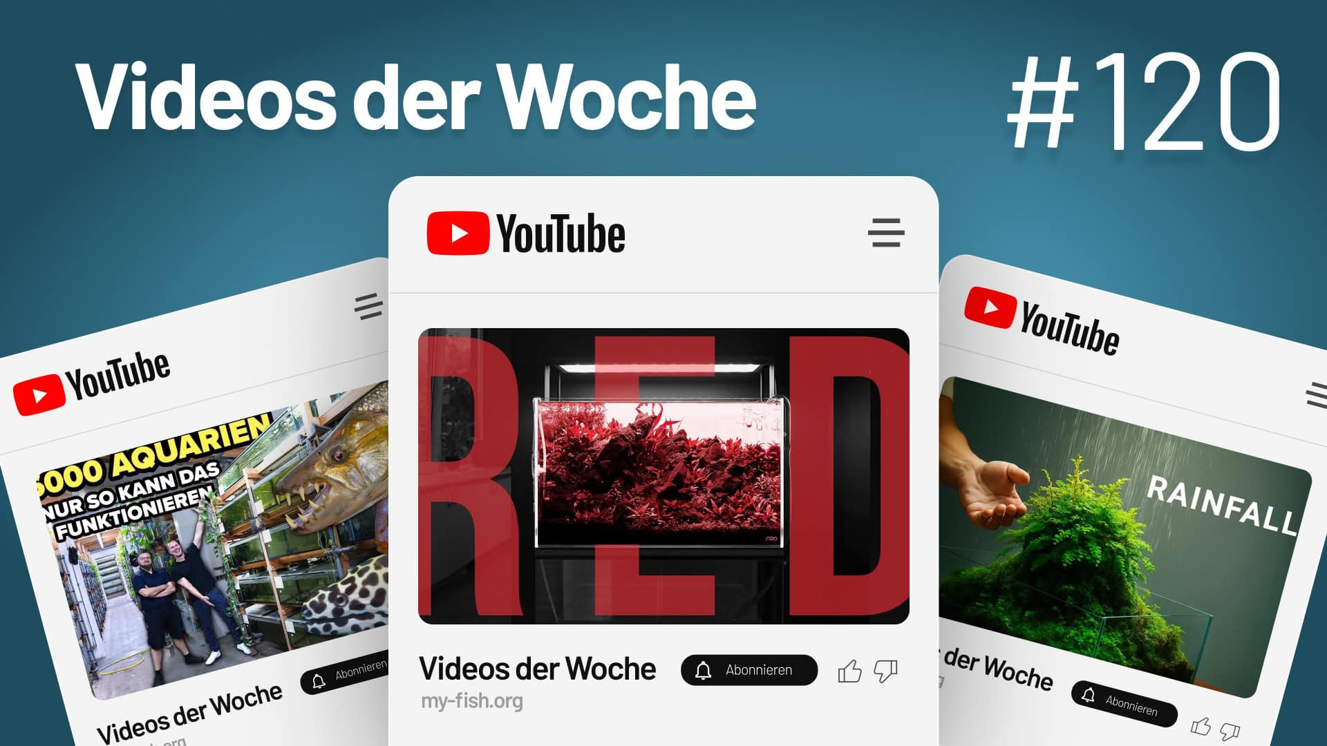 Videos der Woche Vol. 120 – Die besten Highlights und Fundstücke aus der Aquaristik, Aquascaping & Wasserpflanzen