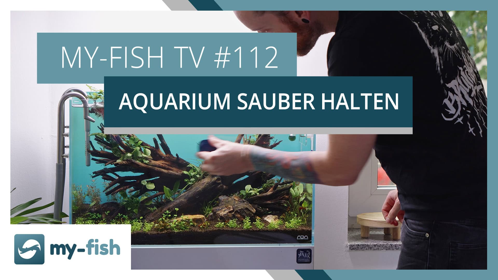Halte so dein Aquarium immer sauber & gesund! | my-fish TV #112