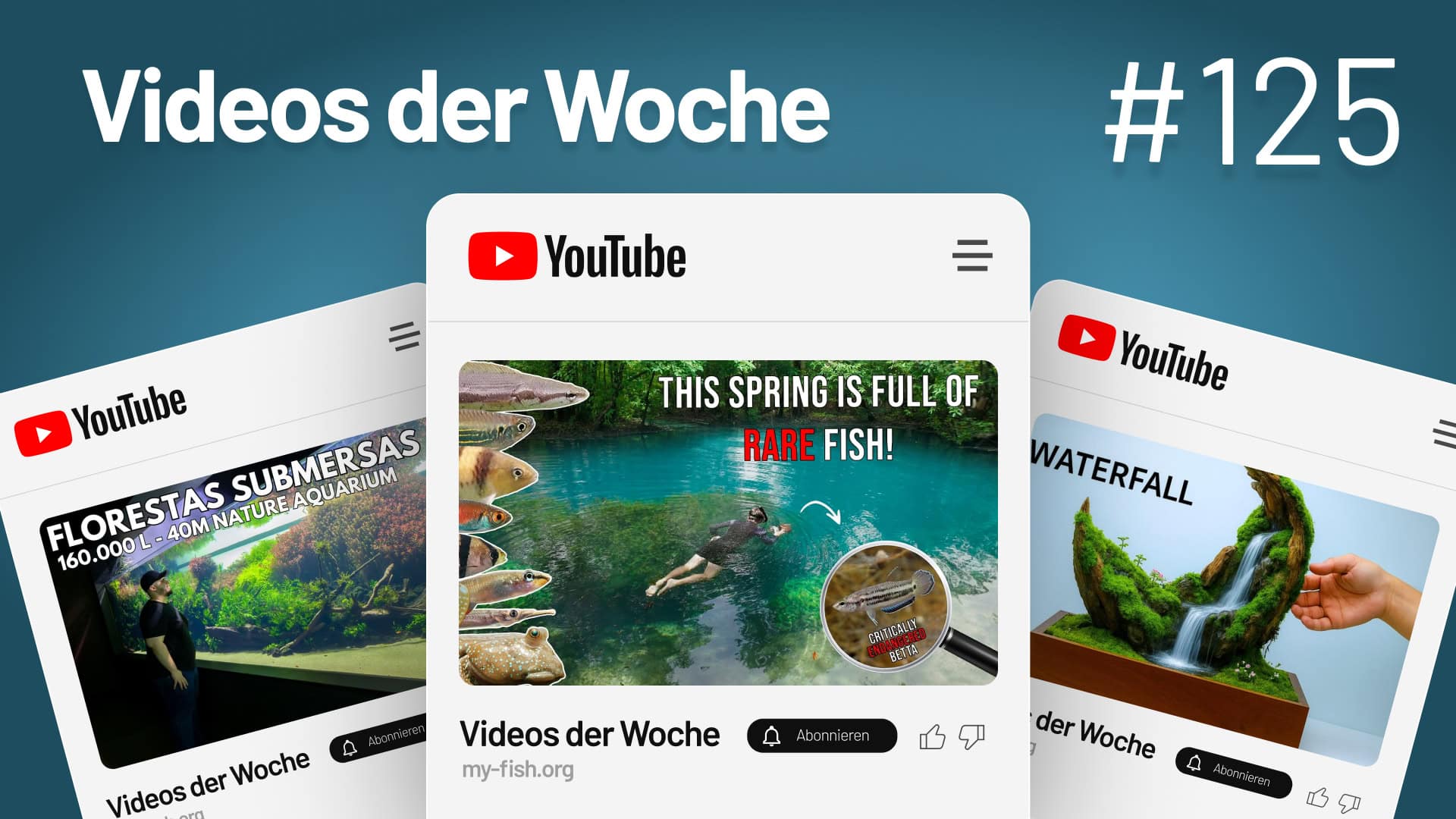 Videos der Woche Vol. 125