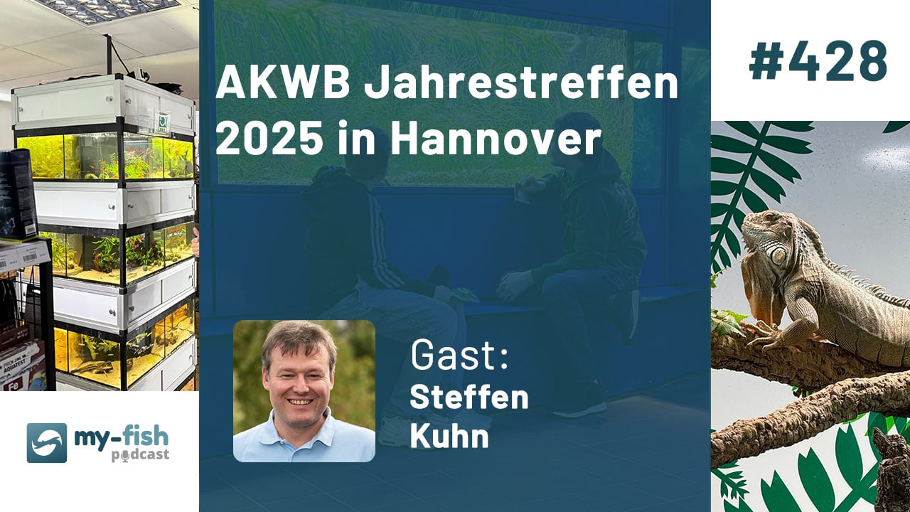 AKWB Jahrestreffen 2025 in Hannover AKWB Jahrestreffen 2025 in Hannover