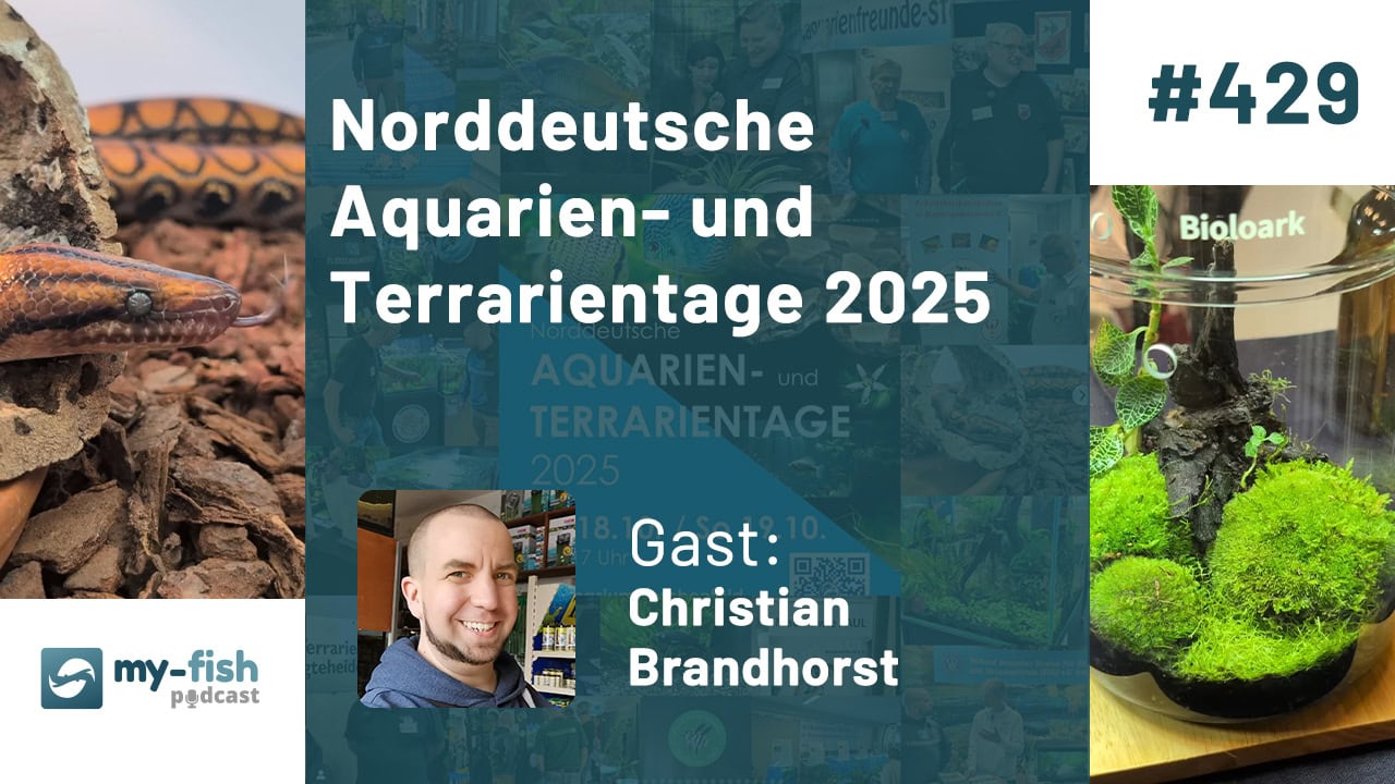 Norddeutsche Aquarien- und Terrarientage 2025 - Messe-Report aus Hamburg (Christian Brandhorst) Norddeutsche Aquarien- und Terrarientage 2025 - Messe-Report aus Hamburg (Christian Brandhorst)