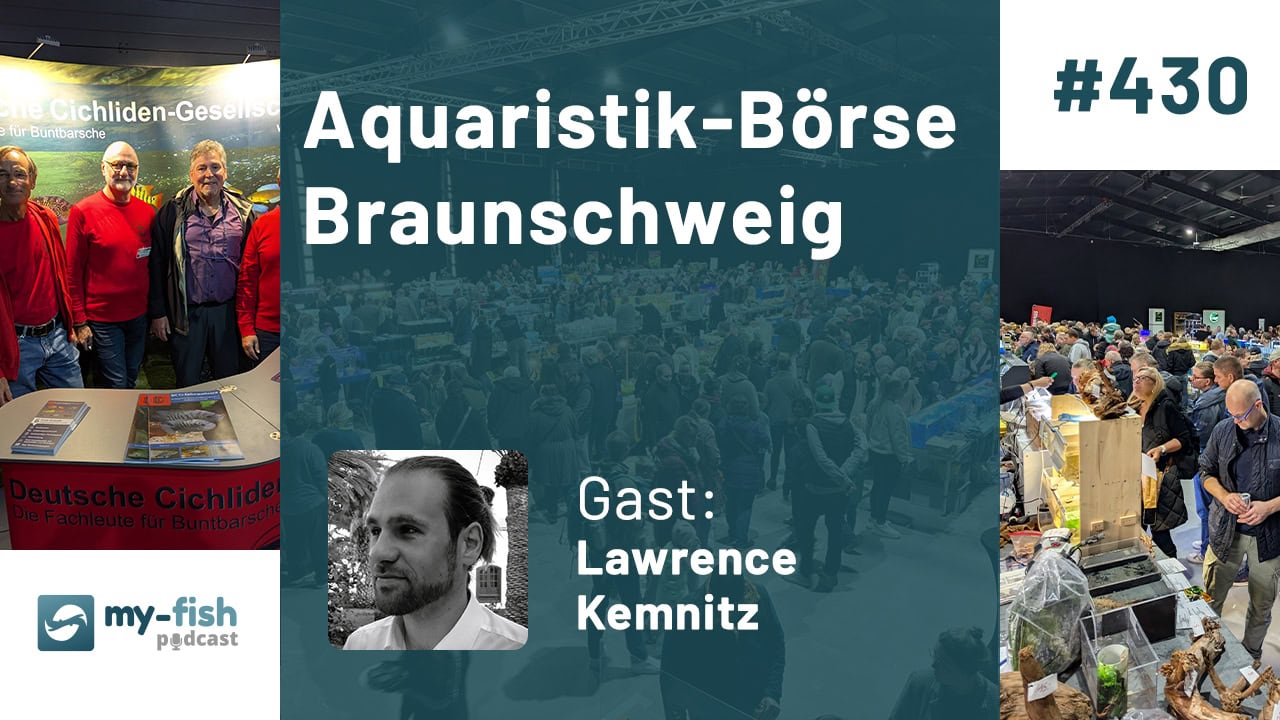 430: Aquaristik-Börse Braunschweig – Hinter den Kulissen von Organisation bis Highlights (Lawrence Kemnitz) 430: Aquaristik-Börse Braunschweig – Hinter den Kulissen von Organisation bis Highlights (Lawrence Kemnitz)