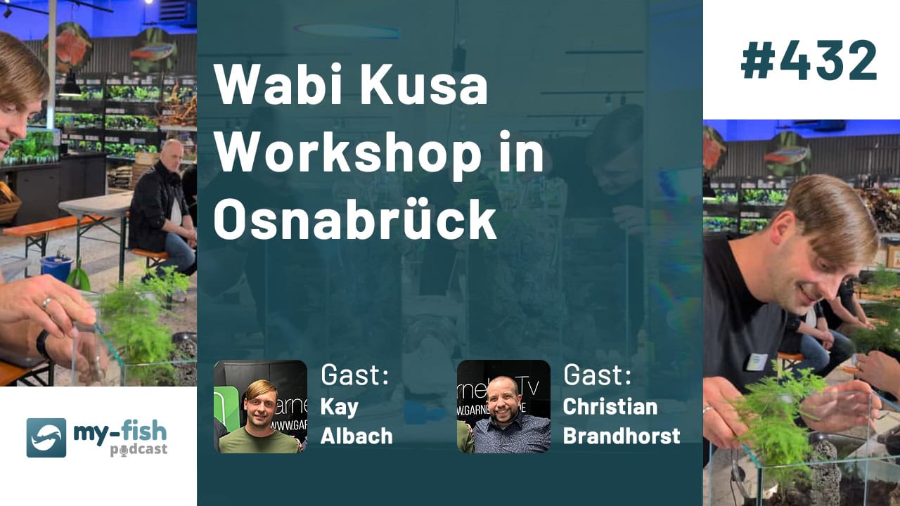 #432: Wabi Kusa Workshop in Osnabrück (Kay Albach und Christian Brandhorst) #432: Wabi Kusa Workshop in Osnabrück (Kay Albach und Christian Brandhorst)