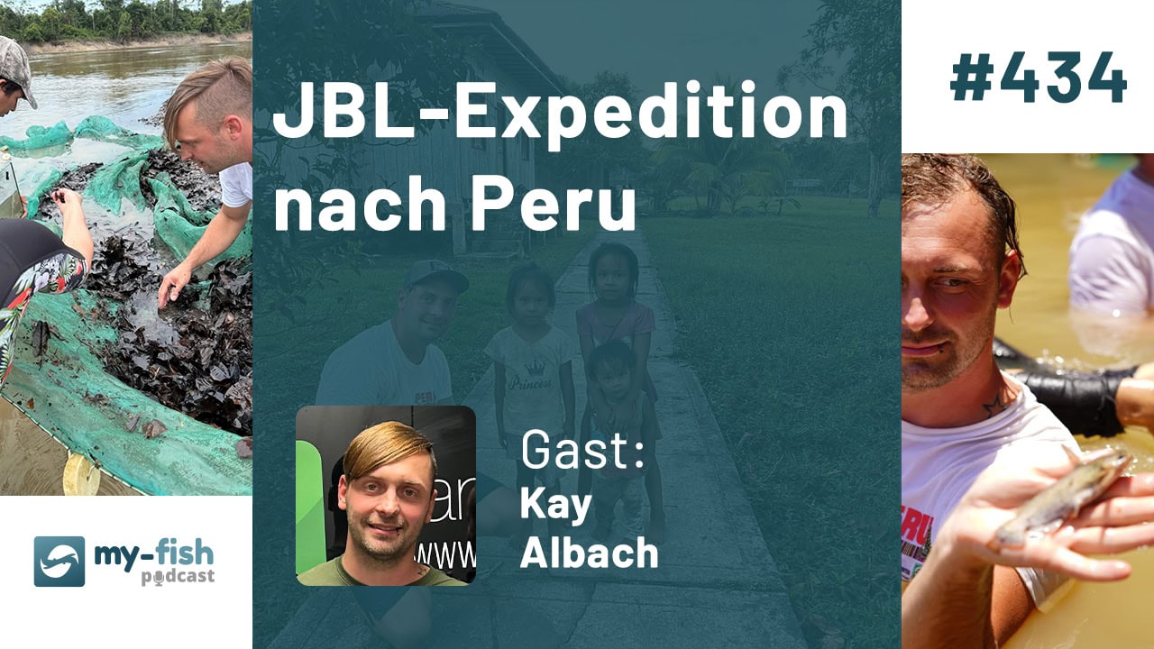 JBL-Expedition nach Peru (Kay Albach) JBL-Expedition nach Peru (Kay Albach)