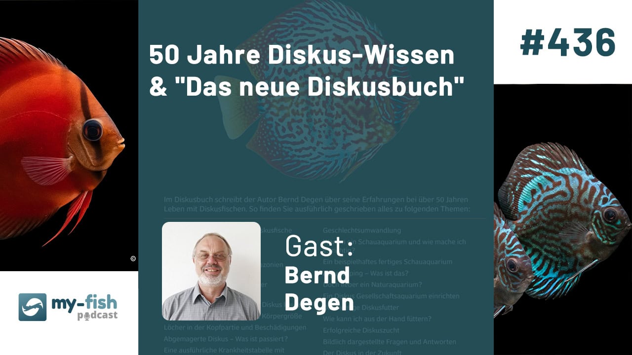 50 Jahre Diskus-Wissen & "Das neue Diskusbuch" - Exklusive Einblicke in Haltung, Pflege & Zucht von Diskus (Bernd Degen)