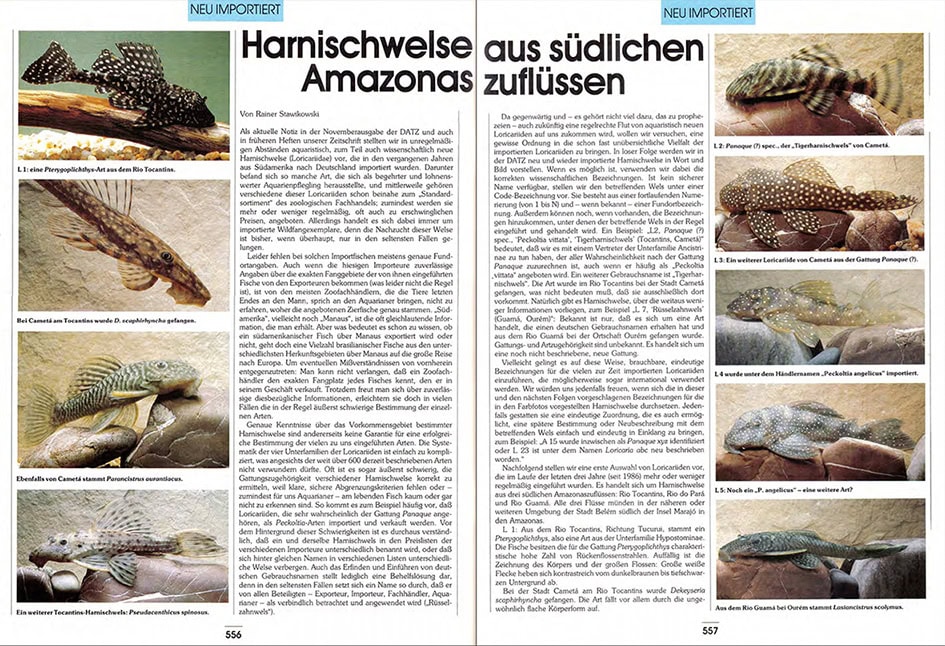 Die ersten neun L-Nummern erschienen 1988 in der Dezemberausgabe der Datz.
