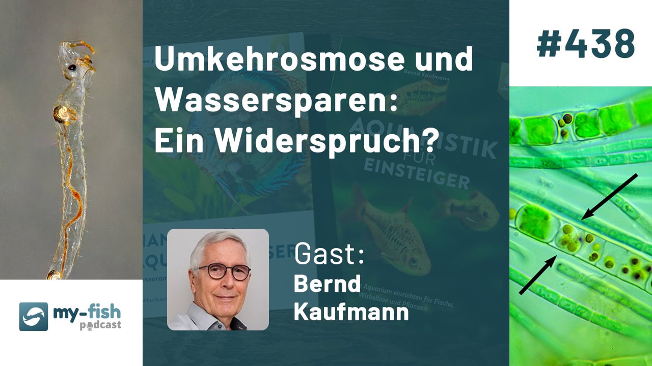 438: Umkehrosmose und Wassersparen: Ein Widerspruch? - Mythen entlarven, Effizienz steigern & Abwasser clever nutzen (Bernd Kaufmann) 438: Umkehrosmose und Wassersparen: Ein Widerspruch? - Mythen entlarven, Effizienz steigern & Abwasser clever nutzen (Bernd Kaufmann)