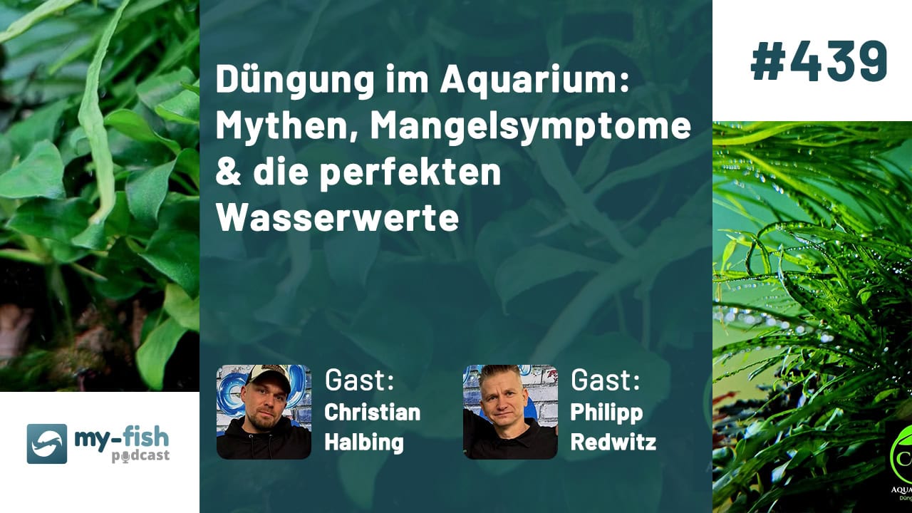 Düngung im Aquarium (Christian Halbing & Philipp Redwitz) Düngung im Aquarium (Christian Halbing & Philipp Redwitz)