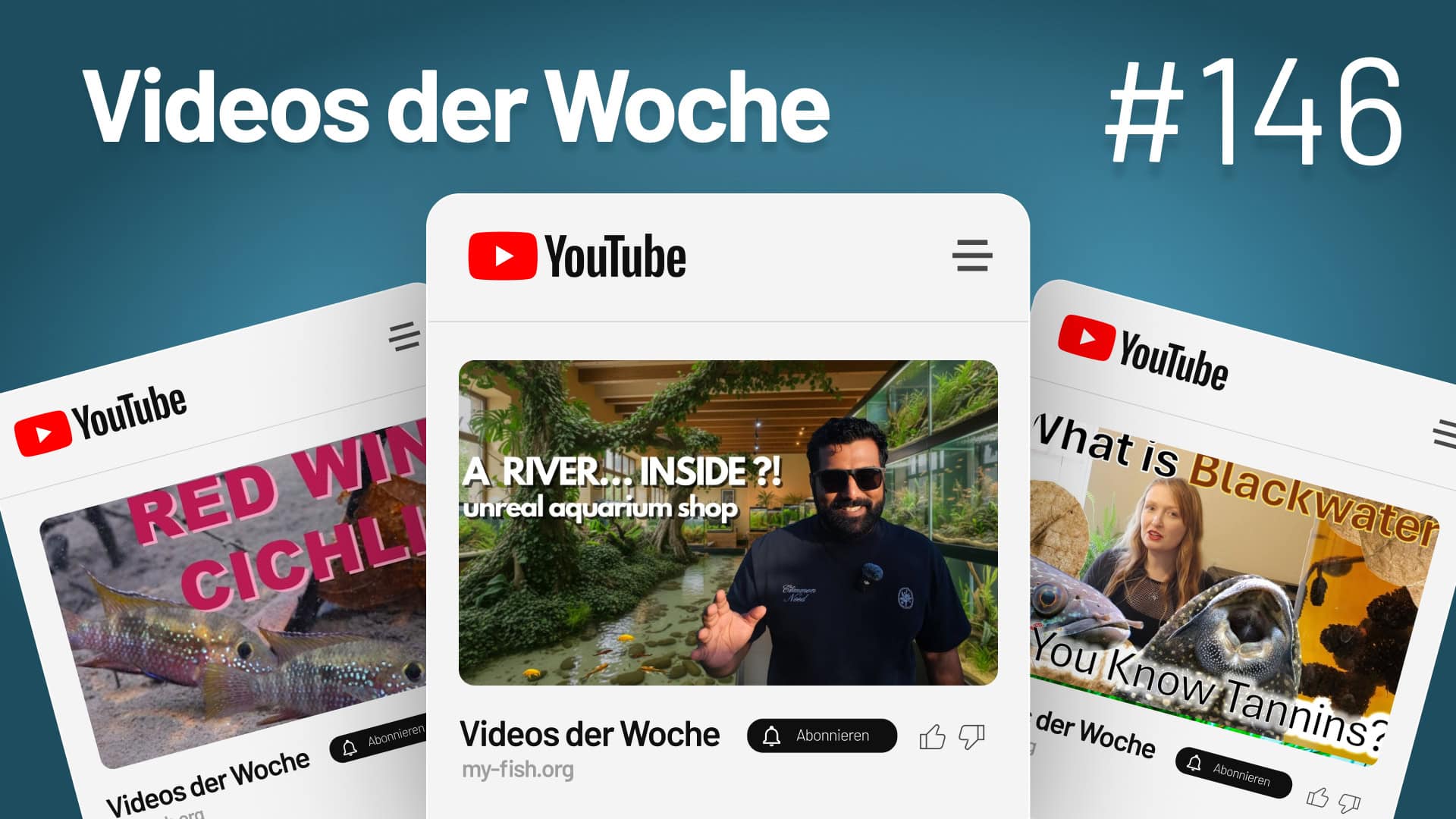 Videos der Woche Vol. 146 – Tiefe Einblicke: Tannine, Aquaristik-Juwelen und die Welt der Buntbarsche