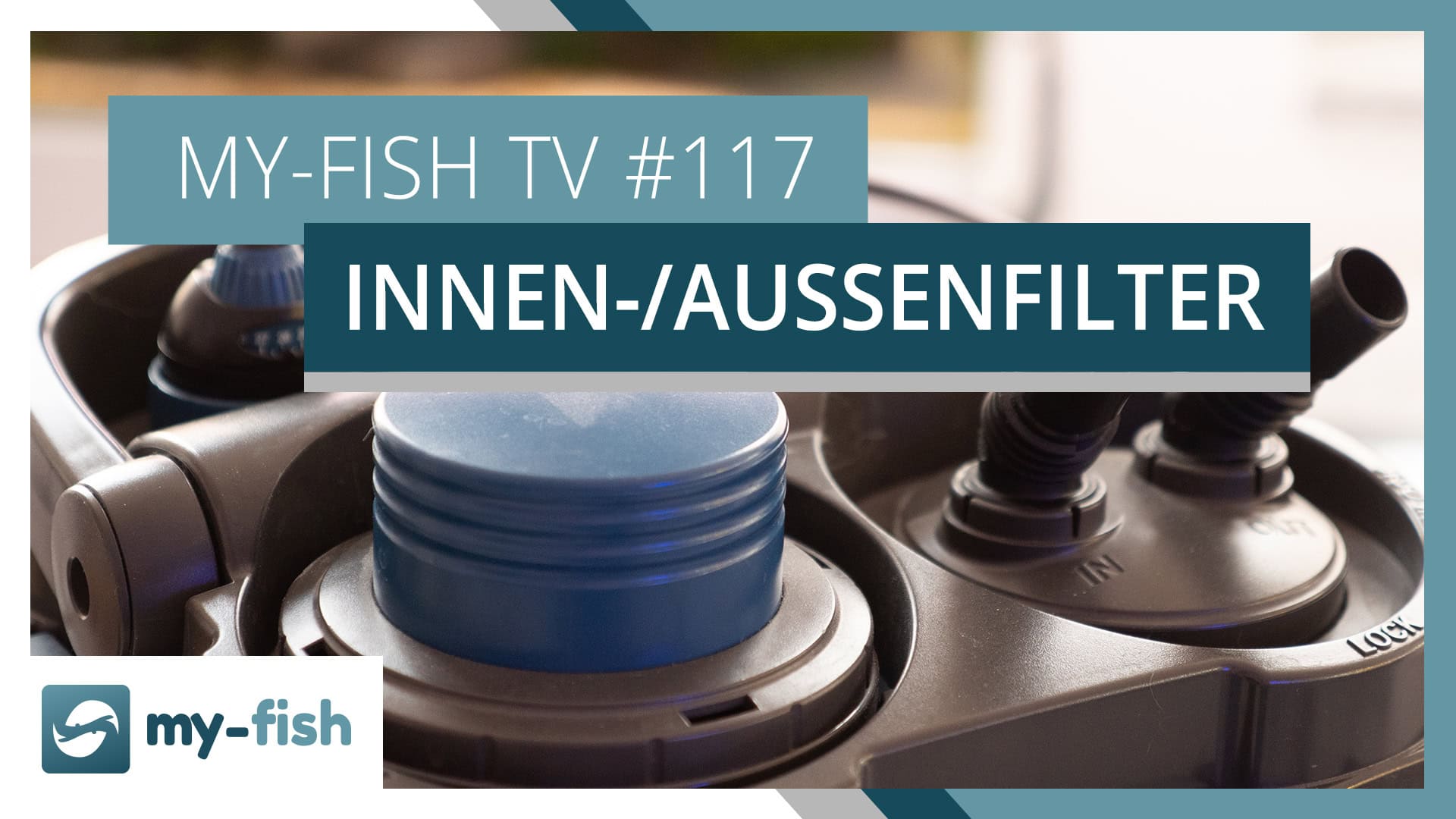 Innenfilter oder Außenfilter – Vorteile & Nachteile | my-fish TV #117
