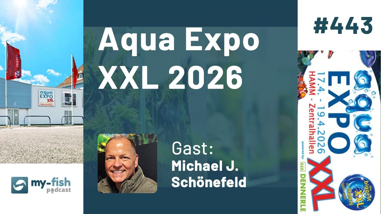443: Aqua Expo XXL 2026: Das größte Aquaristik-Event Deutschlands (Michael J. Schönefeld) 443: Aqua Expo XXL 2026: Das größte Aquaristik-Event Deutschlands (Michael J. Schönefeld)